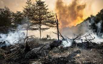 Оценка ущерба после стихийного бедствия в Ярославле: отчет оценщика